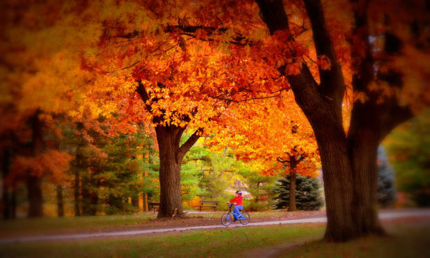 Pioneers Park